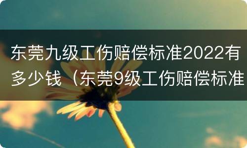 东莞九级工伤赔偿标准2022有多少钱（东莞9级工伤赔偿标准一览表）