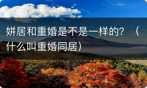 姘居和重婚是不是一样的？（什么叫重婚同居）