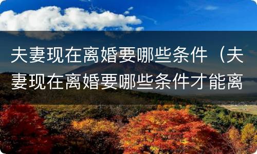 夫妻现在离婚要哪些条件（夫妻现在离婚要哪些条件才能离婚）