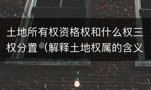 土地所有权资格权和什么权三权分置（解释土地权属的含义,请说明土地所有权和所有权的区别）