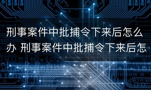刑事案件中批捕令下来后怎么办 刑事案件中批捕令下来后怎么办呢