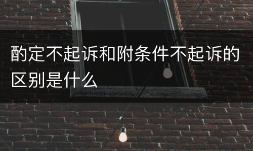 酌定不起诉和附条件不起诉的区别是什么