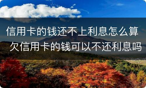 信用卡的钱还不上利息怎么算 欠信用卡的钱可以不还利息吗