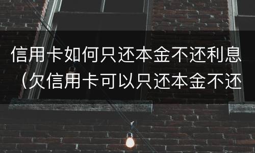 信用卡如何只还本金不还利息（欠信用卡可以只还本金不还利息吗）