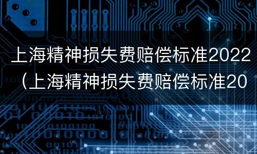 上海精神损失费赔偿标准2022（上海精神损失费赔偿标准2020）