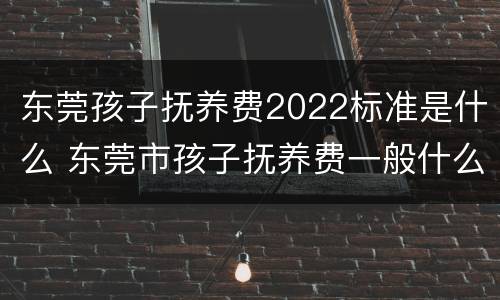 东莞孩子抚养费2022标准是什么 东莞市孩子抚养费一般什么标准