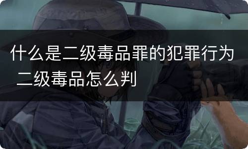 什么是二级毒品罪的犯罪行为 二级毒品怎么判