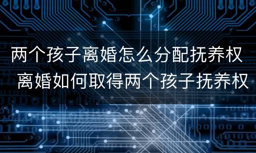 两个孩子离婚怎么分配抚养权 离婚如何取得两个孩子抚养权