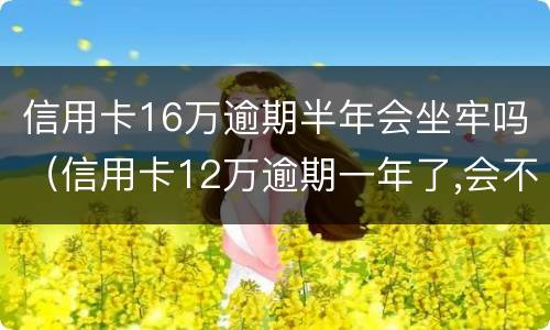 信用卡16万逾期半年会坐牢吗（信用卡12万逾期一年了,会不会坐牢）