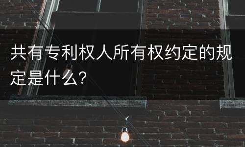 共有专利权人所有权约定的规定是什么？