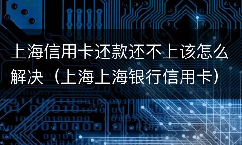 上海信用卡还款还不上该怎么解决（上海上海银行信用卡）