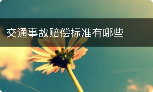 交通事故赔偿标准有哪些