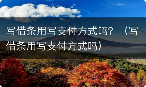 写借条用写支付方式吗？（写借条用写支付方式吗）