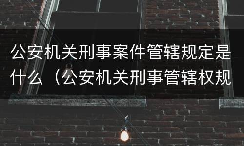 公安机关刑事案件管辖规定是什么（公安机关刑事管辖权规定）