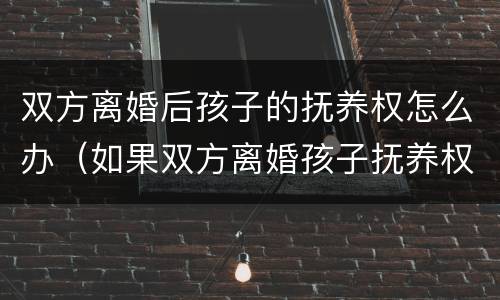 双方离婚后孩子的抚养权怎么办（如果双方离婚孩子抚养权怎么办）