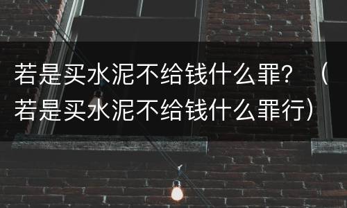 若是买水泥不给钱什么罪？（若是买水泥不给钱什么罪行）
