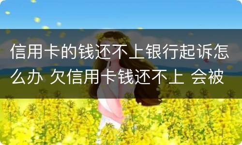 信用卡的钱还不上银行起诉怎么办 欠信用卡钱还不上 会被起诉吗