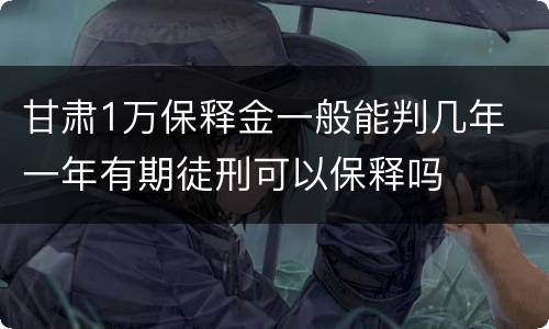 甘肃1万保释金一般能判几年 一年有期徒刑可以保释吗