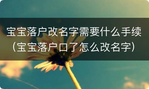 宝宝落户改名字需要什么手续（宝宝落户口了怎么改名字）