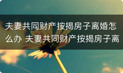 夫妻共同财产按揭房子离婚怎么办 夫妻共同财产按揭房子离婚怎么办手续