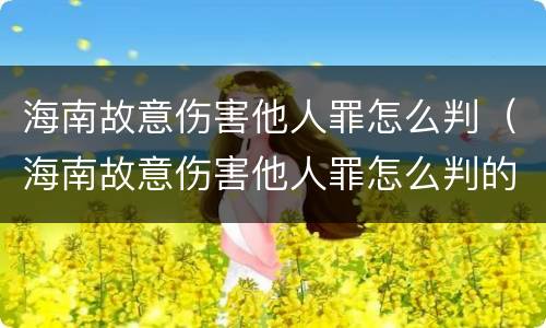 海南故意伤害他人罪怎么判（海南故意伤害他人罪怎么判的）