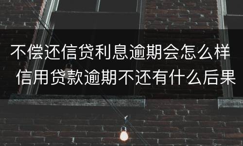 不偿还信贷利息逾期会怎么样 信用贷款逾期不还有什么后果