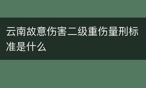 云南故意伤害二级重伤量刑标准是什么