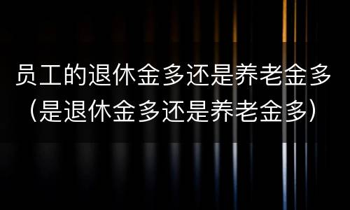员工的退休金多还是养老金多（是退休金多还是养老金多）