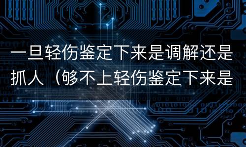 一旦轻伤鉴定下来是调解还是抓人（够不上轻伤鉴定下来是调解还是抓人）