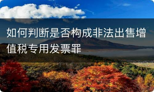 如何判断是否构成非法出售增值税专用发票罪