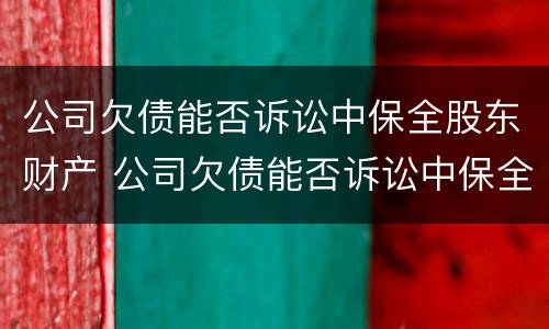 公司欠债能否诉讼中保全股东财产 公司欠债能否诉讼中保全股东财产