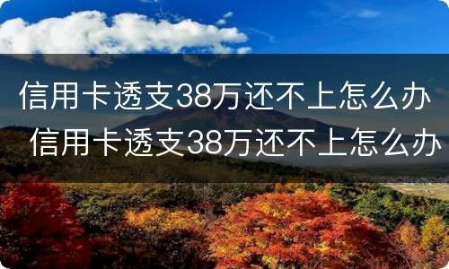 信用卡透支38万还不上怎么办 信用卡透支38万还不上怎么办呀