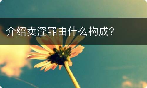 介绍卖淫罪由什么构成?