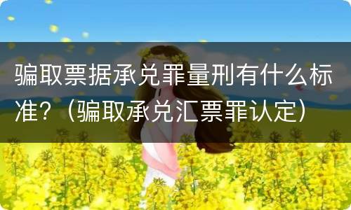 骗取票据承兑罪量刑有什么标准?（骗取承兑汇票罪认定）