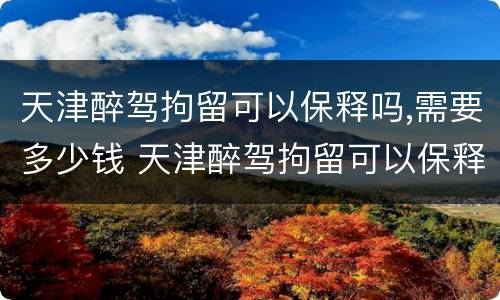 天津醉驾拘留可以保释吗,需要多少钱 天津醉驾拘留可以保释吗,需要多少钱一天