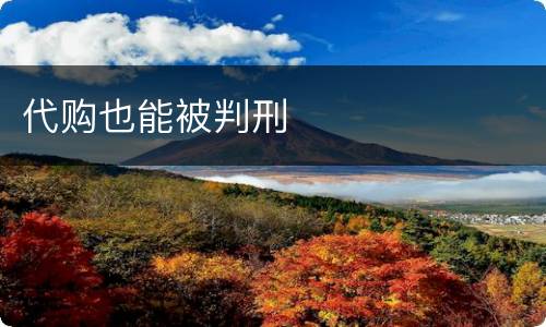 代购也能被判刑