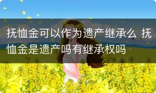 抚恤金可以作为遗产继承么 抚恤金是遗产吗有继承权吗