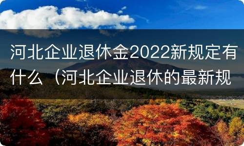 河北企业退休金2022新规定有什么（河北企业退休的最新规定）