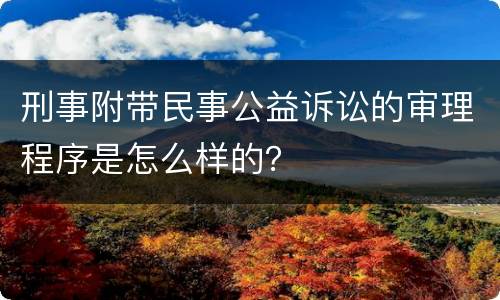 刑事附带民事公益诉讼的审理程序是怎么样的？