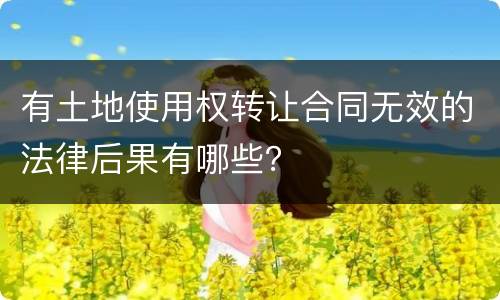 有土地使用权转让合同无效的法律后果有哪些？