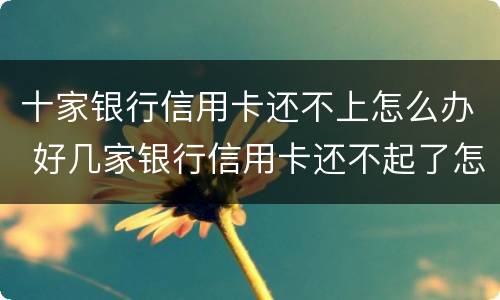 十家银行信用卡还不上怎么办 好几家银行信用卡还不起了怎么办