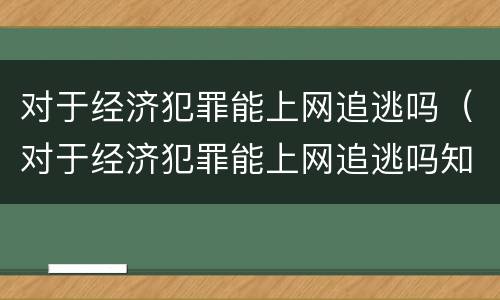 对于经济犯罪能上网追逃吗（对于经济犯罪能上网追逃吗知乎）