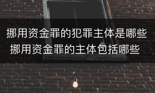 挪用资金罪的犯罪主体是哪些 挪用资金罪的主体包括哪些