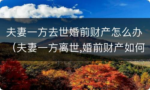 夫妻一方去世婚前财产怎么办（夫妻一方离世,婚前财产如何分配）