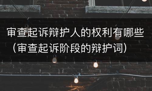 审查起诉辩护人的权利有哪些（审查起诉阶段的辩护词）