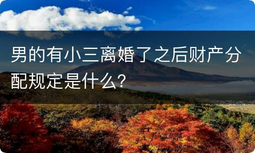 男的有小三离婚了之后财产分配规定是什么？