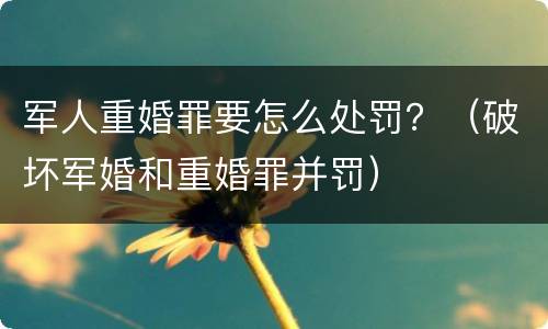 军人重婚罪要怎么处罚？（破坏军婚和重婚罪并罚）