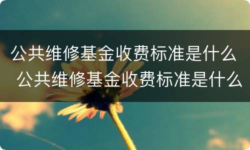 公共维修基金收费标准是什么 公共维修基金收费标准是什么意思