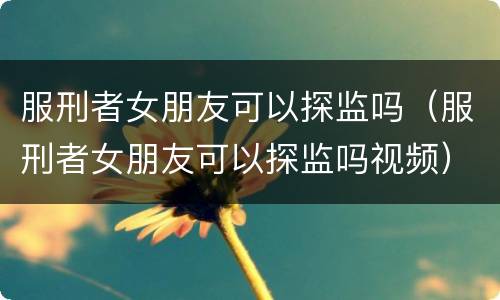 服刑者女朋友可以探监吗（服刑者女朋友可以探监吗视频）