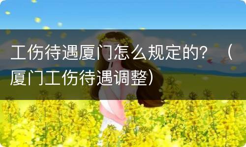 工伤待遇厦门怎么规定的？（厦门工伤待遇调整）
